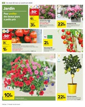 Promos Fleur En Pot dans le catalogue "Carrefour" de Carrefour à la page 32