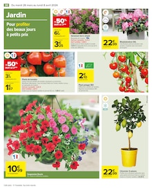 Promo Plante Verte dans le catalogue Carrefour du moment à la page 32