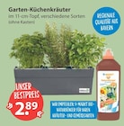 Garten-Küchenkräuter im V-Markt Prospekt Garten-Küchenkräuter von im aktuellen V-Markt Prospekt für 2,89 €