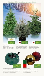 Baum im Pflanzen Kölle Prospekt "ADVENT ADVENT" auf Seite 6