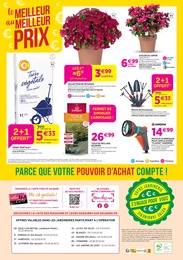 Prix et réduction Toile dans le prospectus Delbard en cours Offre Toile dans le catalogue Delbard du moment à la page 8