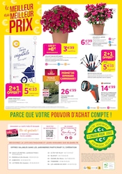 Promos Applique dans le catalogue "Chez nous, les bonnes affaires c'est toute l'année !" de Delbard à la page 8