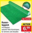 Aktuelles Rasenteppich Angebot bei Zimmermann in Oldenburg ab 6,99 €