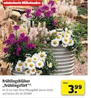 Hagebaumarkt Wegberg Prospekt mit  im Angebot für 3,99 €