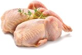 Frische Wachteln von Urgasa im aktuellen Netto mit dem Scottie Prospekt für 12,99 €
