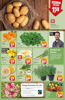Kartoffeln im REWE Prospekt "Dein Markt" mit 30 Seiten (Lübeck)