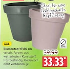 Blumentopf Ø 80 cm im Angebot bei Marktkauf in Cuxhaven Blumentopf Ø 80 cm Angebote bei Marktkauf Cuxhaven für 33,33 €