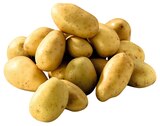 POMMES DE TERRE DE CONSOMMATION - AUCHAN - Auchan Supermarché à Levallois-Perret POMMES DE TERRE DE CONSOMMATION - AUCHAN en promo chez Auchan Supermarché Levallois-Perret à 3,79 €