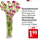 Spraynelkenstrauß bei E center im Teningen Prospekt für 1,99 €
