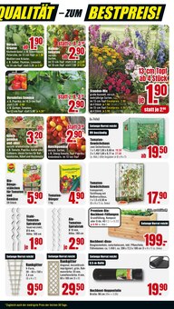 Gartenpflanzen im B1 Discount Baumarkt Prospekt "BESTPREISE DER WOCHE!" mit 12 Seiten (Pforzheim)