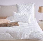 Ganzjahresbett „Copa“ im Angebot bei XXXLutz Möbelhäuser in Passau Ganzjahresbett „Copa“ Angebote von Sleeptex bei XXXLutz Möbelhäuser Passau für 39,99 €