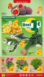 Beetpflanzen Angebote im Prospekt "Wer günstig will, muss Penny." von Penny-Markt Beetpflanzen Angebote im Prospekt "Wer günstig will, muss Penny." von Penny-Markt auf Seite 5