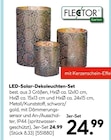LED-Solar-Dekoleuchten-Set bei Hellweg im Greiz Prospekt für 24,99 €