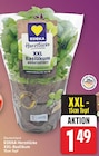 XXL-Basilikum von EDEKA Herzstücke für 1,49 € bei E center im Angebot XXL-Basilikum von EDEKA Herzstücke im aktuellen E center Prospekt