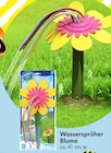 Aktuelle Blumen Angebote bei TEDi in Düsseldorf Aktuelles Wassersprüher Blume Angebot bei TEDi in Düsseldorf