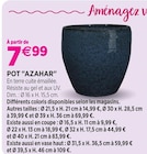 Pot "Azahar" - Delbard Pot "Azahar" à 7,99 € dans le catalogue Delbard