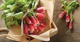 Promo Radis Rose à 0,69 € dans le catalogue Intermarché Super à Langogne
