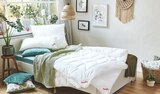 Vida Bio sommerleicht Angebot im Möbel Schulenburg Halstenbek Prospekt Möbel Schulenburg Halstenbek Prospekt mit Vida Bio sommerleicht im Angebot für 69,99 €