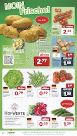 Aktueller famila Nordwest Prospekt mit Orchidee, "Markt - Angebote", Seite 4