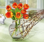 Tulpen  im aktuellen Netto Marken-Discount Prospekt für 2,29 €