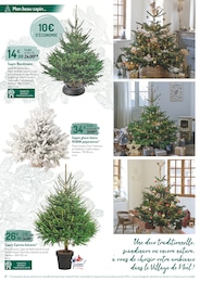 Offre Sapin Blanc De Noël dans le catalogue Botanic du moment à la page 2