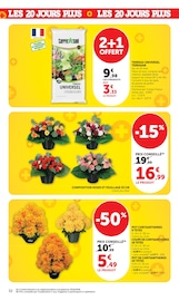 Promos Chrysanthèmes dans le catalogue "LES 20 JOURS PLUS" de Super U Chrysanthèmes en promo dans le catalogue Super U à la page 32