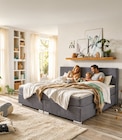 Aktuelle Boxspringbett Angebote bei Kabs in Bremen Aktuelles Boxspringbett Samera Angebot bei Kabs in Bremen ab 1.190,00 €