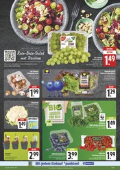 Pflanzen im E center Prospekt in Plauen Aktueller E center Prospekt mit Pflanzen, "Wir lieben Lebensmittel!", Seite 3