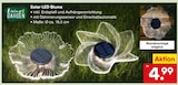 Solar LED Blume Angebote von Living Garden bei Netto Marken-Discount Detmold für 4,99 €