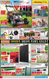 Fernseher Angebot & Preis im aktuellen Norma Prospekt Fernseher Angebot im aktuellen Norma Prospekt auf Seite 2