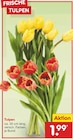 Tulpen Angebote bei Netto Marken-Discount Bremen für 1,99 €