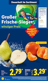 Mandarinen Angebot im aktuellen Lidl Prospekt auf Seite 2