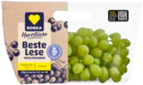 Beste Lese Tafeltrauben hell bei EDEKA Frischemarkt im Hohenfelde Prospekt für 3,99 €