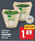 Basilikum von EDEKA Bio für 1,49 € bei E center im Angebot Basilikum von EDEKA Bio im aktuellen E center Prospekt