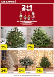 Sapin Nordmann Angebote im Prospekt "APÉRO DINATOIRE" von Carrefour Sapin Nordmann Angebote im Prospekt "APÉRO DINATOIRE" von Carrefour auf Seite 91