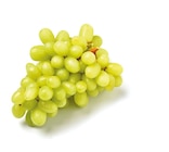 Netto mit dem Scottie Lutherstadt Eisleben - Trauben kernlos Angebot im Prospekt Trauben kernlos bei Netto mit dem Scottie im Lutherstadt Eisleben Prospekt für 2,19 €