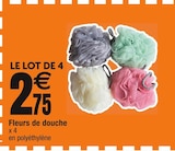 Fleurs de douche en promo chez Cora Villeneuve-d'Ascq à 2,75 €