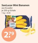 Mini Bananen von SanLucar im aktuellen V-Markt Prospekt für 2,79 €