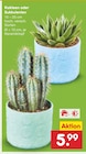 Netto Marken-Discount Dettenheim Prospekt mit  im Angebot für 5,99 €