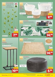 Stuhl Angebot & Preis im aktuellen Netto Marken-Discount Prospekt Stuhl Angebot im aktuellen Netto Marken-Discount Prospekt auf Seite 33
