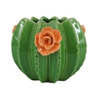 Promo Cache-pot cactus à 9,99 € dans le catalogue B&M ""