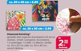Aktuelles Diamond Painting Angebot bei Netto mit dem Scottie in Lübeck ab 2,99 €