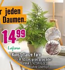 Kunstpflanze Farn von Lafiora im aktuellen Hornbach Prospekt für 14,99 €