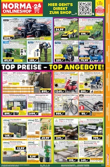 Blumentopf im Norma Prospekt "Mehr fürs Geld" mit 19 Seiten (Karlsruhe)