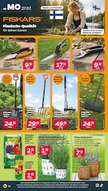 Teleskop im Netto mit dem Scottie Prospekt in Falkensee Aktueller Netto mit dem Scottie Prospekt mit Teleskop, "Günstig. Besser. Für Dich.", Seite 16