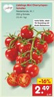 Mini Cherryrispentomaten Angebote von Lieblings bei Netto Marken-Discount Wolfenbüttel für 2,49 €