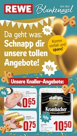 REWE Discounter Prospekt der aktuellen Woche mit 38 Seiten, gültig von 19.10.2026 bis 24.10.2026, in Rheinberg und Umgebung Aktueller REWE Discounter Prospekt in Rheinberg und Umgebung, "Dein Markt" mit 38 Seiten, 19.10.2026 - 24.10.2026