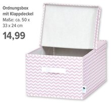 Ordnungsbox mit Klappdeckel bei BabyOne in Aachen Ordnungsbox mit Klappdeckel im Angebot bei BabyOne Aachen für 14,99 €