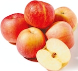 Gala bei Netto mit dem Scottie im Prospekt  für 1,39 €