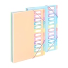 Viquel Rainbow Pastel - trieur à soufflet -  12 positions - pour A4 - à onglets - disponible en différents coloris - Viquel dans le catalogue Bureau Vallée